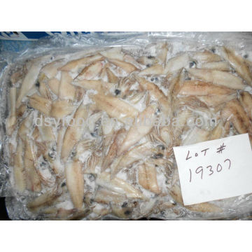 Frozen California Squid Price